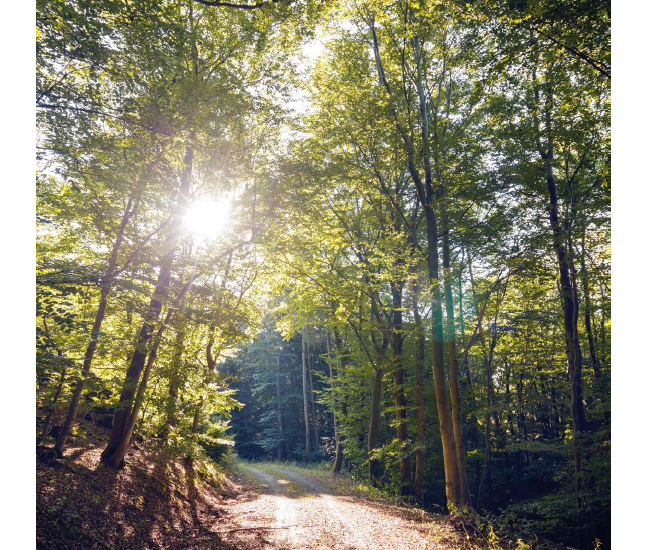 Glashütten Magazin 3 | 2018