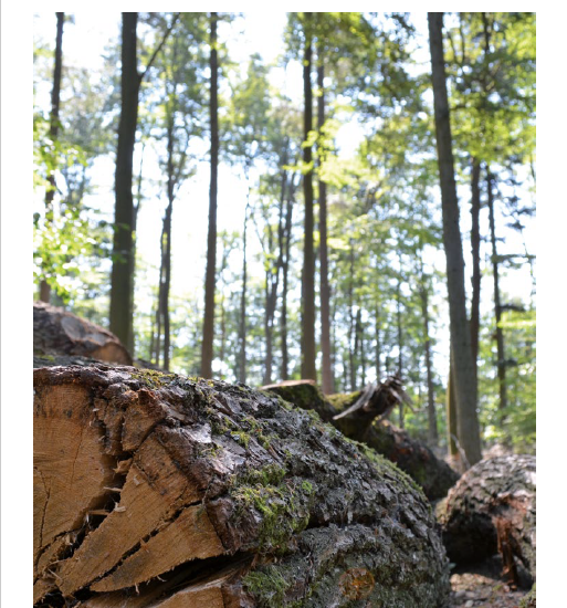 Glashütten Magazin 1 | 2020