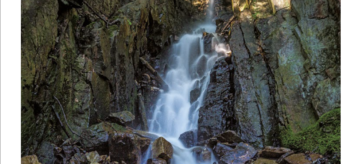 Glashütten Magazin 1 | 2022